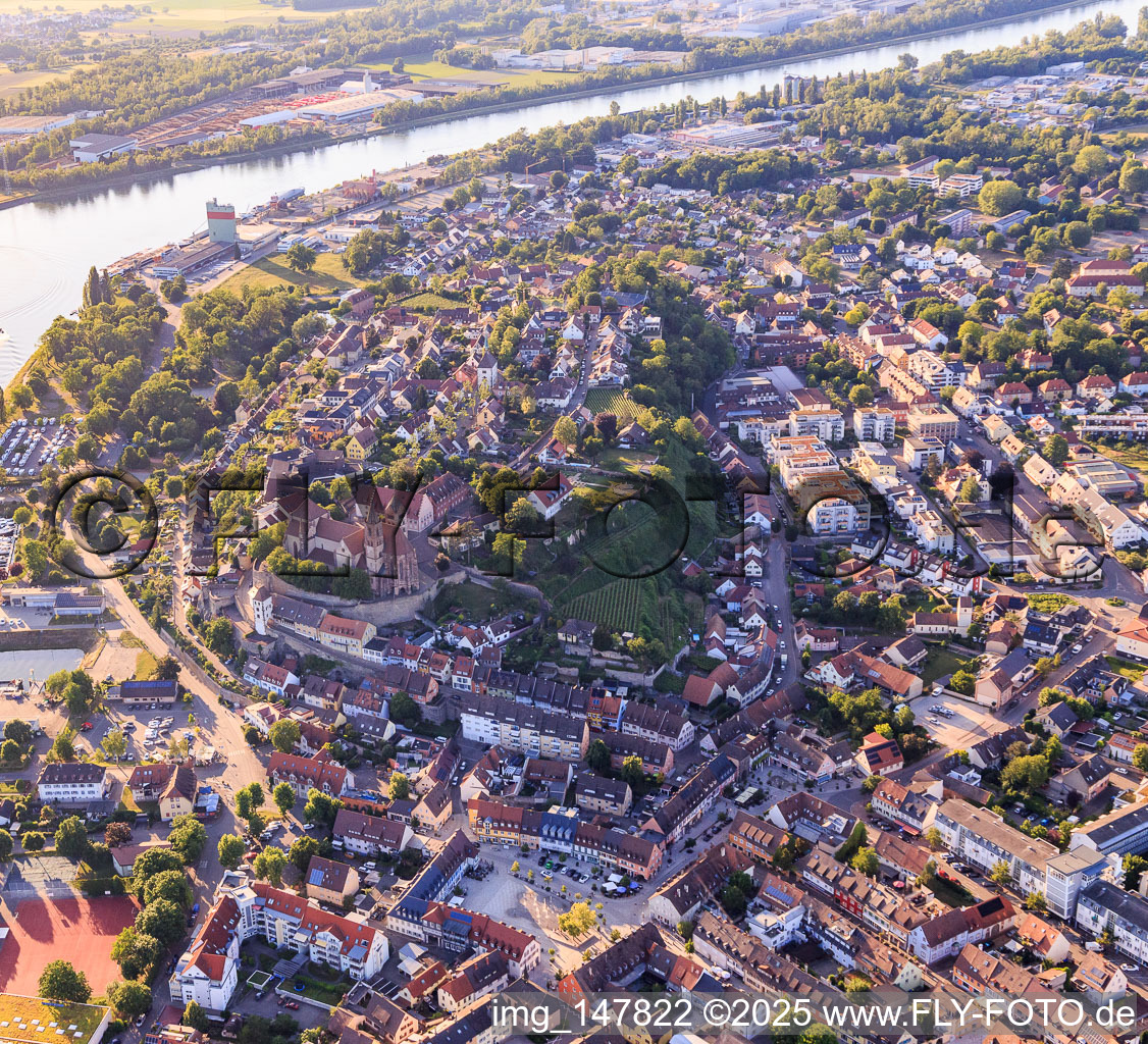 Breisach Minster St. Stephen in Breisach am Rhein in the state Baden-Wuerttemberg, Germany