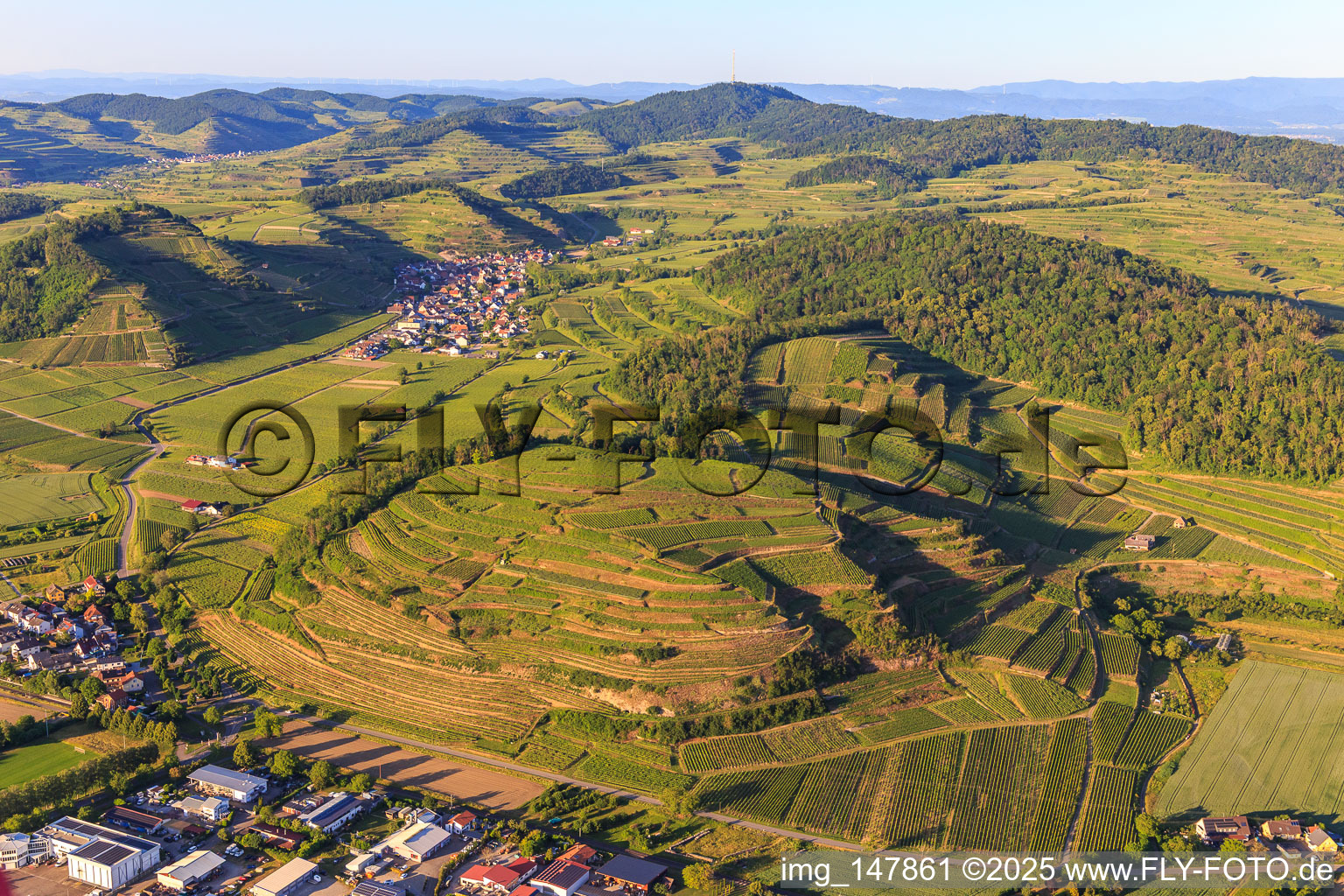 Aerial view of Vineyards on the Kaiserstuhl from the west in the district Achkarren in Vogtsburg im Kaiserstuhl in the state Baden-Wuerttemberg, Germany