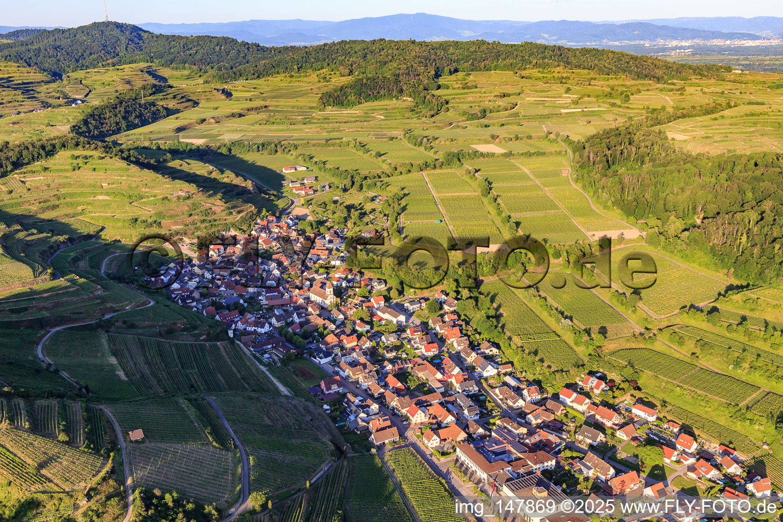 Wine-growing village in the Kaiserstuhl from the west in the district Achkarren in Vogtsburg im Kaiserstuhl in the state Baden-Wuerttemberg, Germany