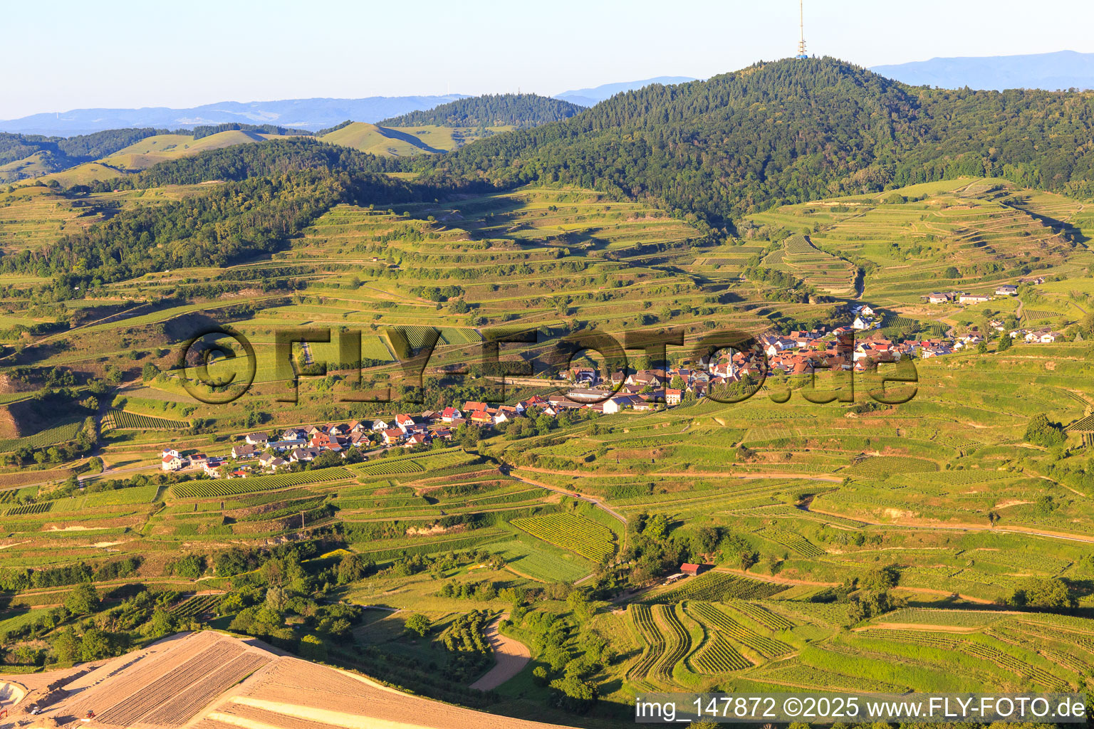 Wine-growing village in the Kaiserstuhl from the west in the district Bickensohl in Vogtsburg im Kaiserstuhl in the state Baden-Wuerttemberg, Germany