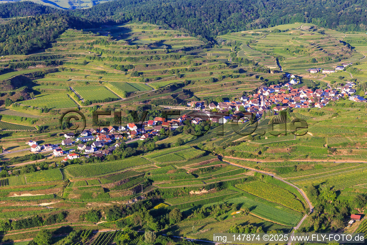 Aerial view of Wine-growing village in the Kaiserstuhl from the west in the district Bickensohl in Vogtsburg im Kaiserstuhl in the state Baden-Wuerttemberg, Germany