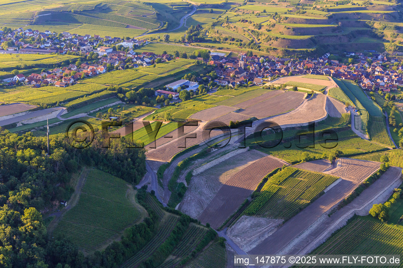Construction site for the re-leveling of terraced vineyards in the district Oberrotweil in Vogtsburg im Kaiserstuhl in the state Baden-Wuerttemberg, Germany