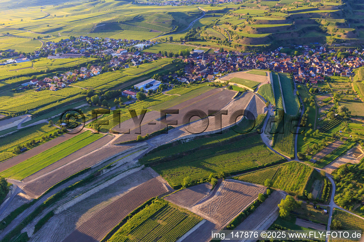 Aerial view of Construction site for the re-leveling of terraced vineyards in the district Oberrotweil in Vogtsburg im Kaiserstuhl in the state Baden-Wuerttemberg, Germany