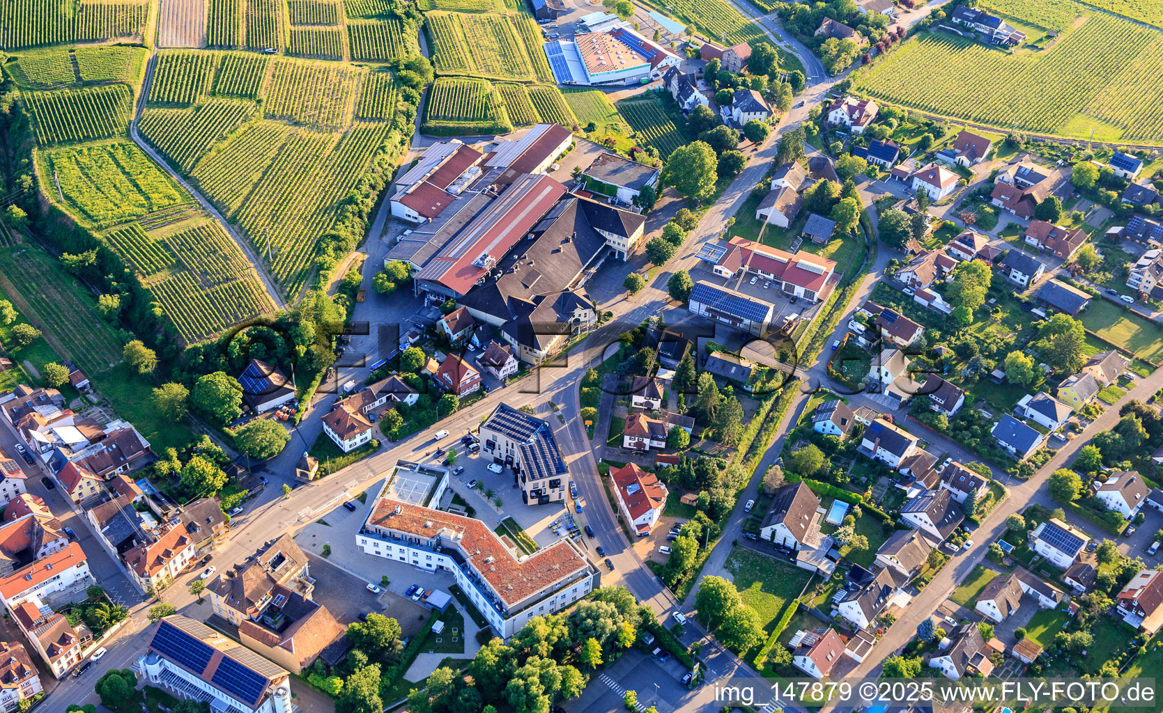 Medical Center General Practitioners in the Kaiserstuhl and Oberrotweiler Winegrowers' Association eG in the district Oberrotweil in Vogtsburg im Kaiserstuhl in the state Baden-Wuerttemberg, Germany