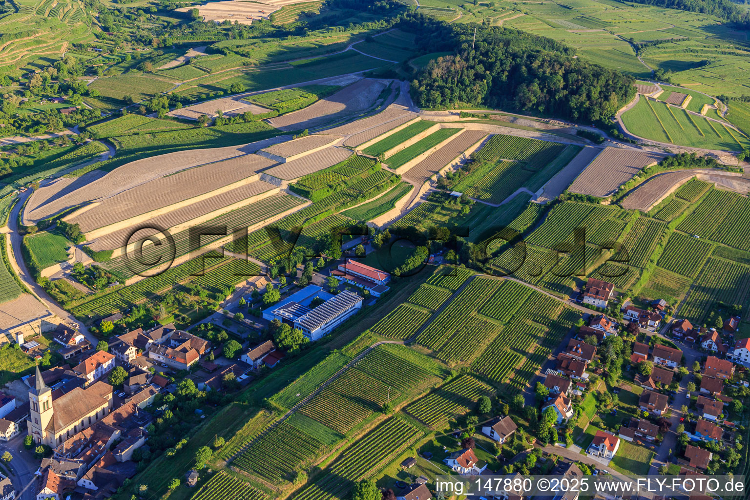Aerial photograpy of Construction site for the re-leveling of terraced vineyards in the district Oberrotweil in Vogtsburg im Kaiserstuhl in the state Baden-Wuerttemberg, Germany
