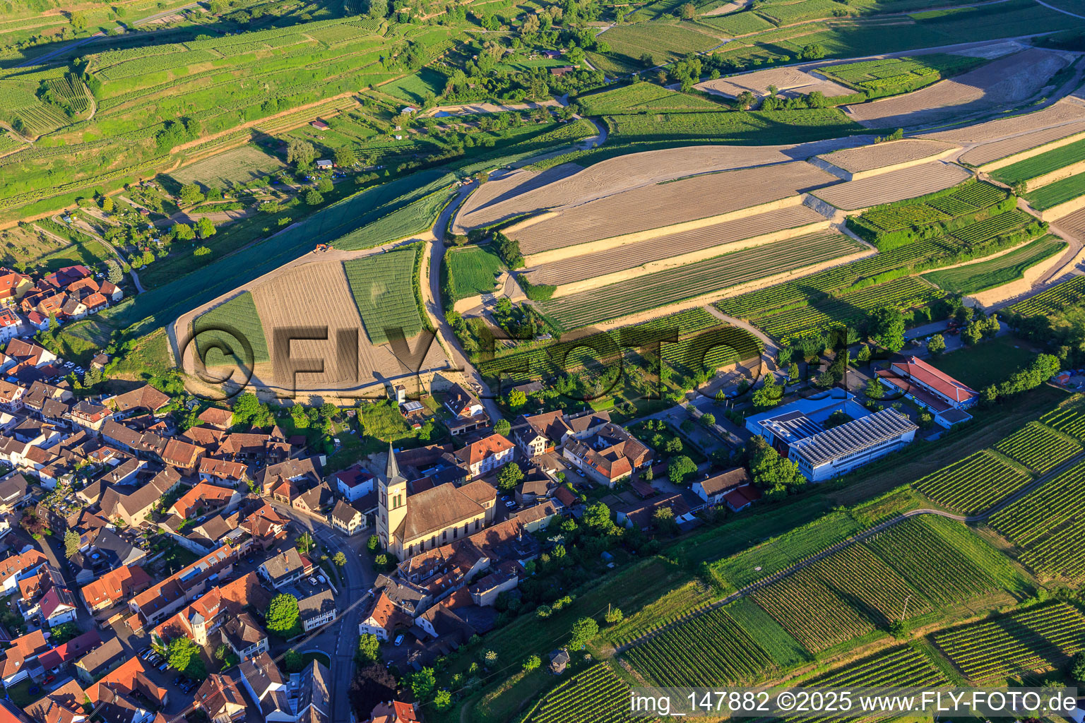 Oblique view of Construction site for the re-leveling of terraced vineyards in the district Oberrotweil in Vogtsburg im Kaiserstuhl in the state Baden-Wuerttemberg, Germany
