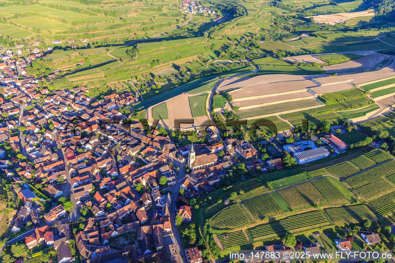 Construction site for the re-leveling of terraced vineyards in the district Oberrotweil in Vogtsburg im Kaiserstuhl in the state Baden-Wuerttemberg, Germany from above