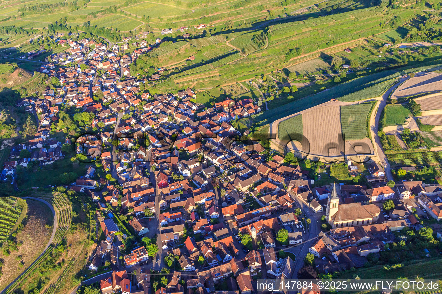 Wine-growing village in the Kaiserstuhl from the west in the district Oberrotweil in Vogtsburg im Kaiserstuhl in the state Baden-Wuerttemberg, Germany