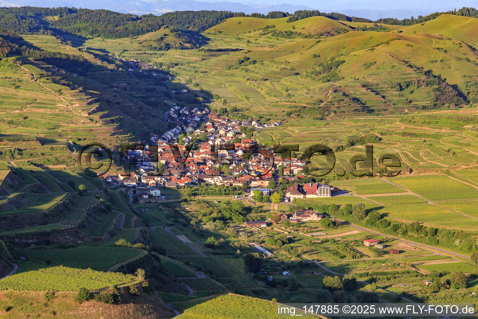 Aerial view of Wine-growing village in the Kaiserstuhl from the west in the district Oberrotweil in Vogtsburg im Kaiserstuhl in the state Baden-Wuerttemberg, Germany