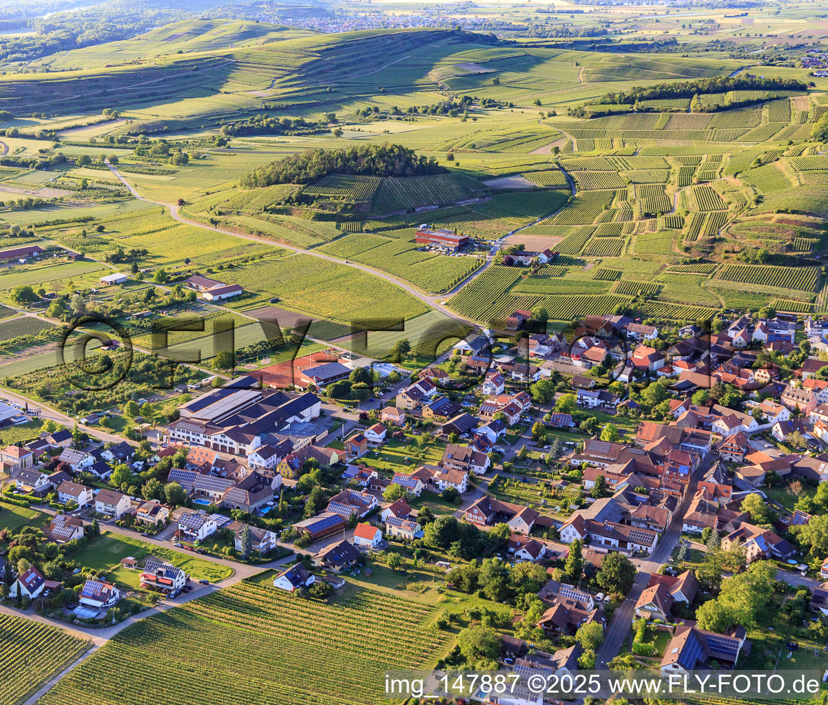 Wine-growing village in the Kaiserstuhl from the southeast in the district Bischoffingen in Vogtsburg im Kaiserstuhl in the state Baden-Wuerttemberg, Germany
