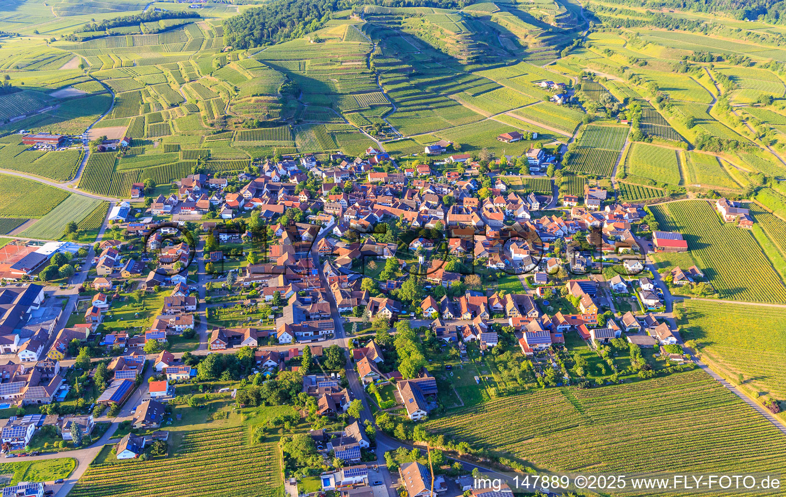 Wine-growing village in the Kaiserstuhl from the south in the district Bischoffingen in Vogtsburg im Kaiserstuhl in the state Baden-Wuerttemberg, Germany