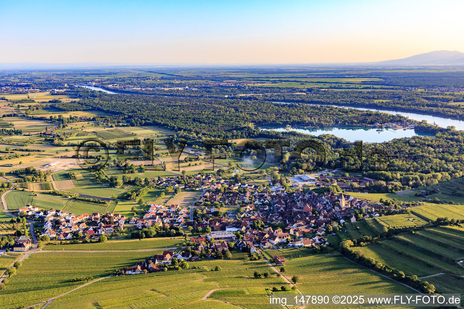 Wine-growing village in the Kaiserstuhl from the north in the district Burkheim in Vogtsburg im Kaiserstuhl in the state Baden-Wuerttemberg, Germany