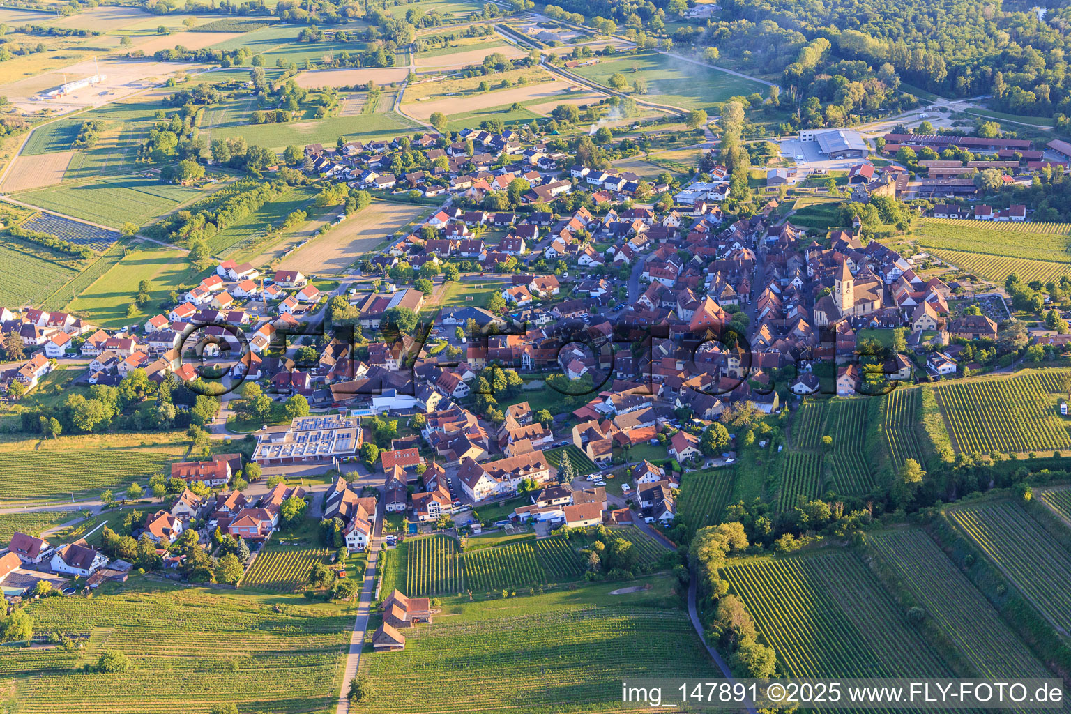Village overview from the north in the district Burkheim in Vogtsburg im Kaiserstuhl in the state Baden-Wuerttemberg, Germany