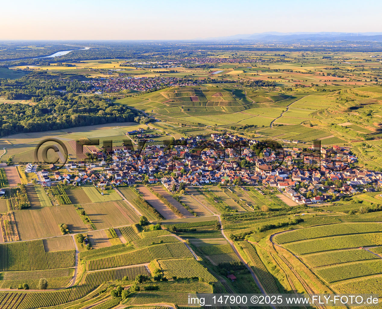 Village view from the south in the district Jechtingen in Sasbach am Kaiserstuhl in the state Baden-Wuerttemberg, Germany