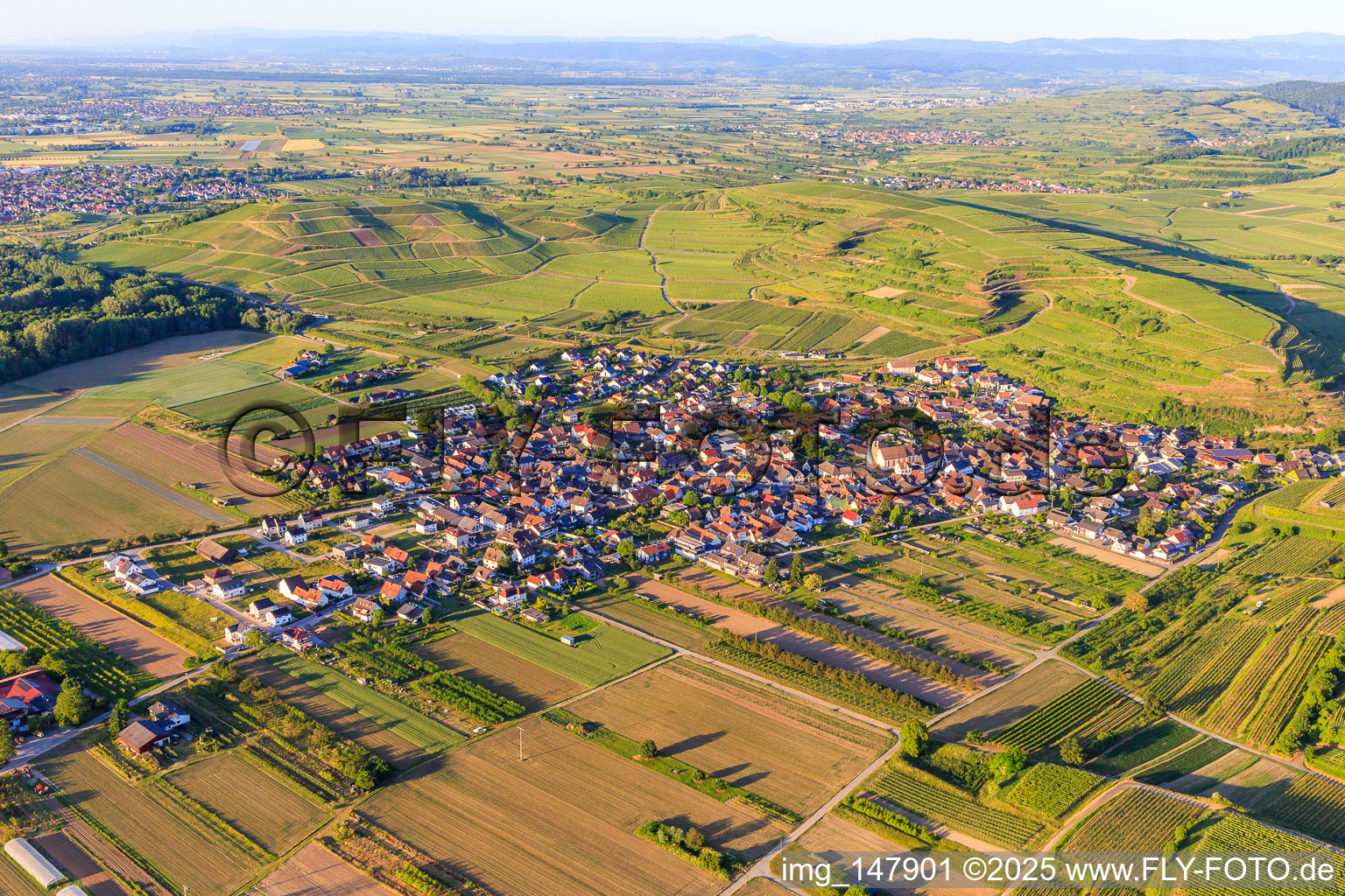 Village overview from the south in the district Jechtingen in Sasbach am Kaiserstuhl in the state Baden-Wuerttemberg, Germany