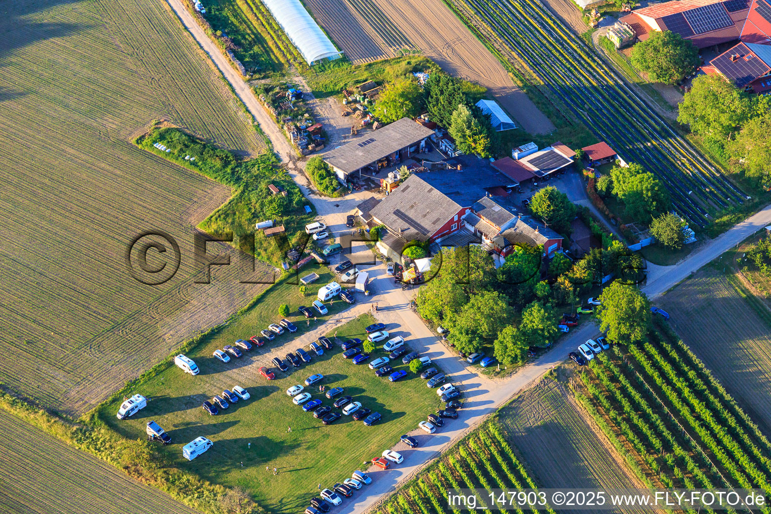 Restaurant Gerhart's Ostriches in the district Jechtingen in Sasbach am Kaiserstuhl in the state Baden-Wuerttemberg, Germany
