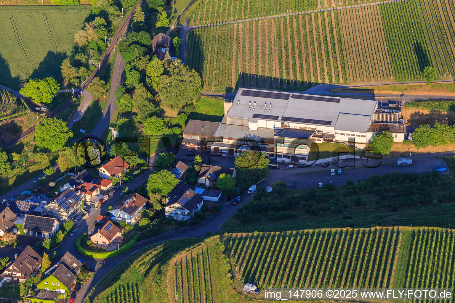 Jechtinger Weinmanufaktur eG in the district Jechtingen in Sasbach am Kaiserstuhl in the state Baden-Wuerttemberg, Germany