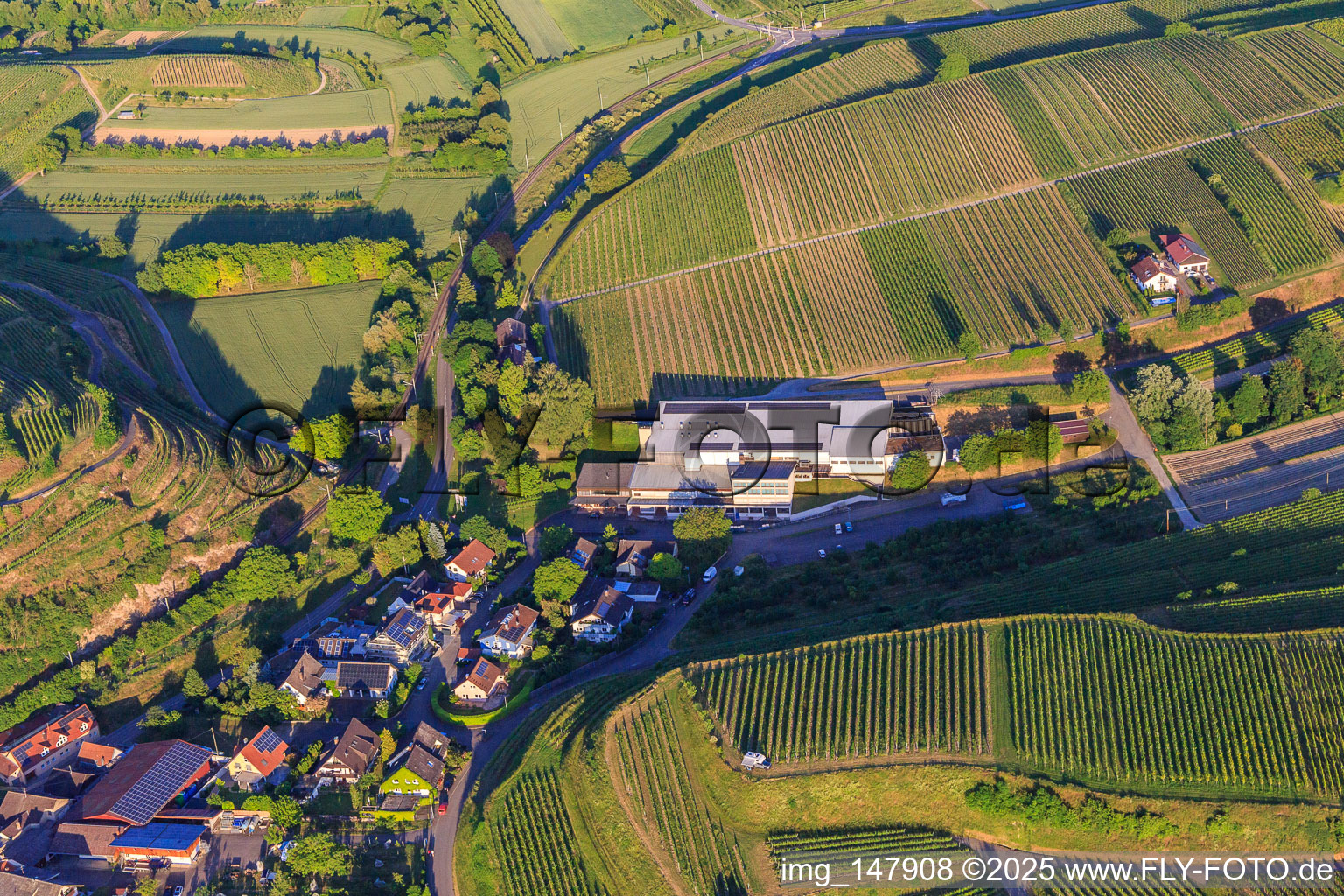 Aerial view of Jechtinger Weinmanufaktur eG in the district Jechtingen in Sasbach am Kaiserstuhl in the state Baden-Wuerttemberg, Germany