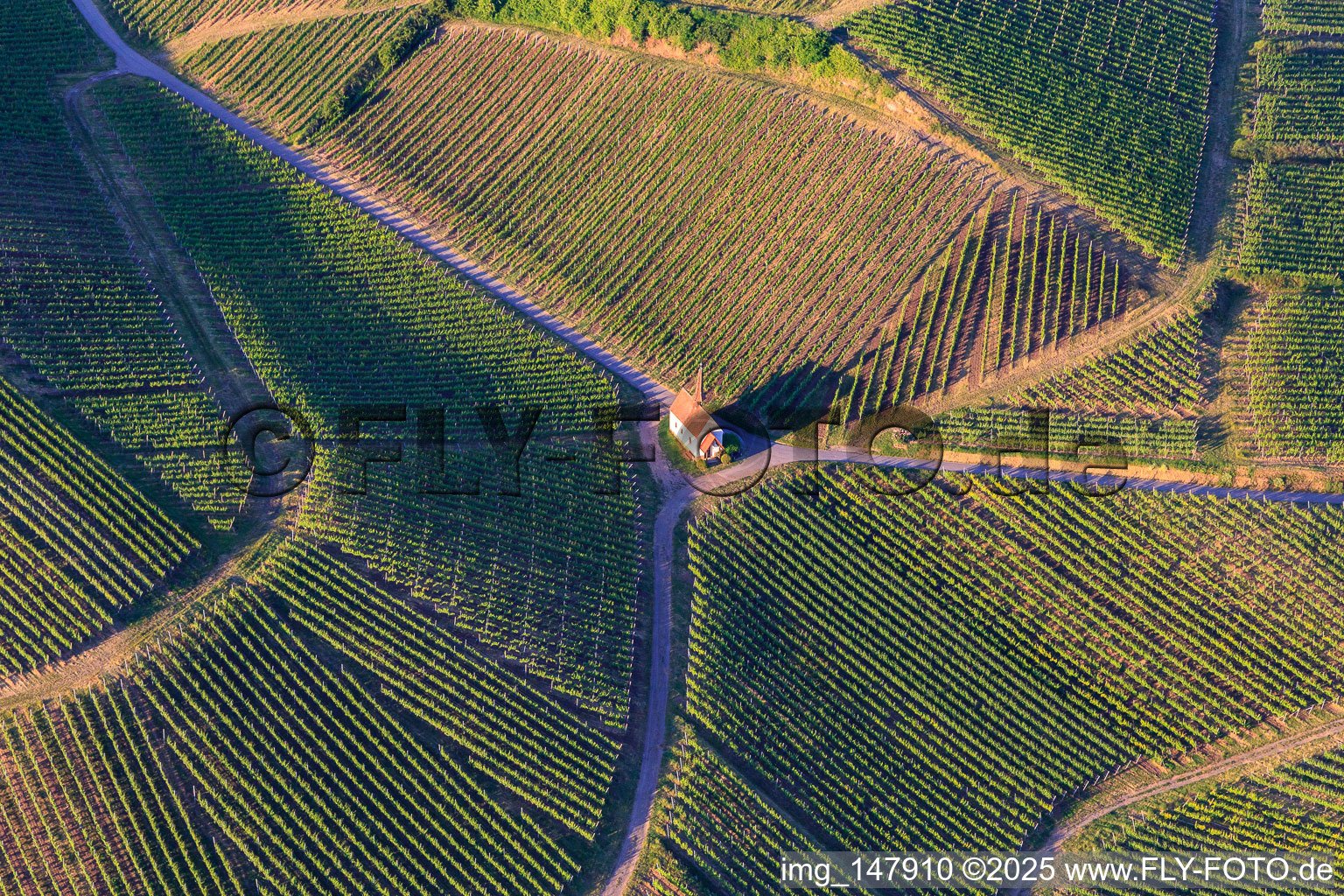 Eichert Chapel in the middle of the vineyards in the district Jechtingen in Sasbach am Kaiserstuhl in the state Baden-Wuerttemberg, Germany