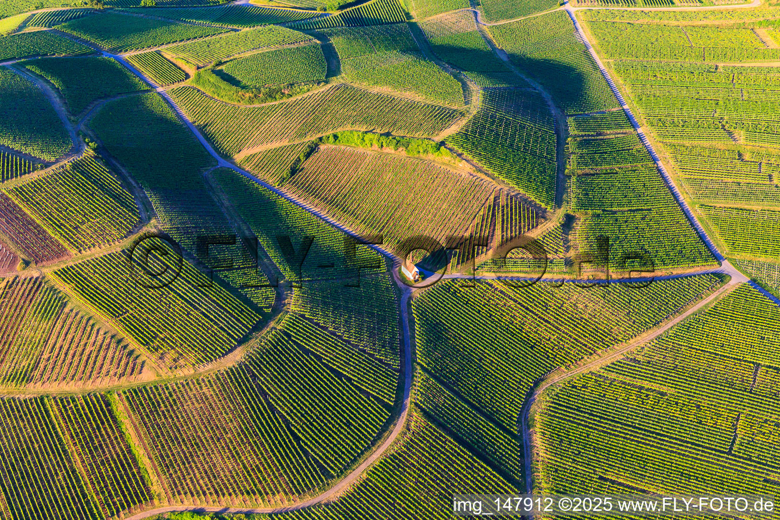 Aerial view of Eichert Chapel in the middle of the vineyards in the district Jechtingen in Sasbach am Kaiserstuhl in the state Baden-Wuerttemberg, Germany