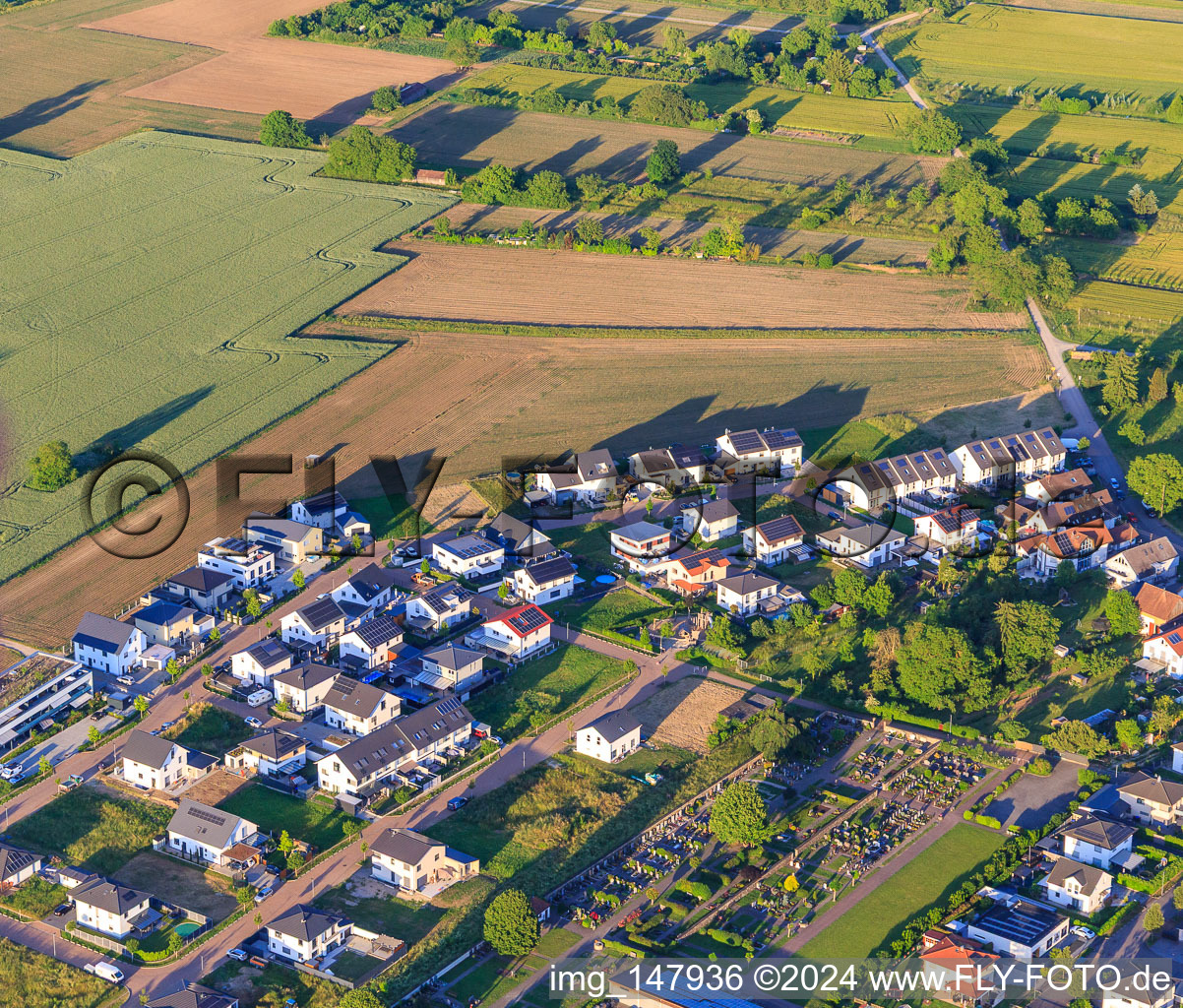 New development area Wellinger Straße in Wyhl am Kaiserstuhl in the state Baden-Wuerttemberg, Germany