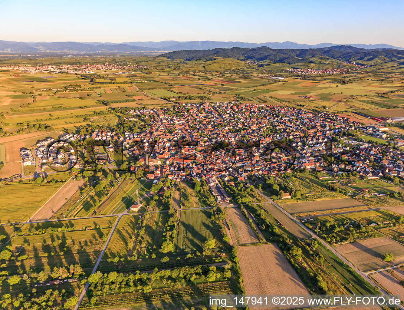 View of the town from the west in Wyhl am Kaiserstuhl in the state Baden-Wuerttemberg, Germany