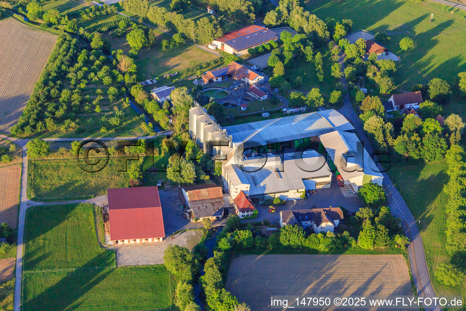 Warehouses and silos of Südgetreide GmbH & Co. Kommanditgesellschaft in Weisweil in the state Baden-Wuerttemberg, Germany