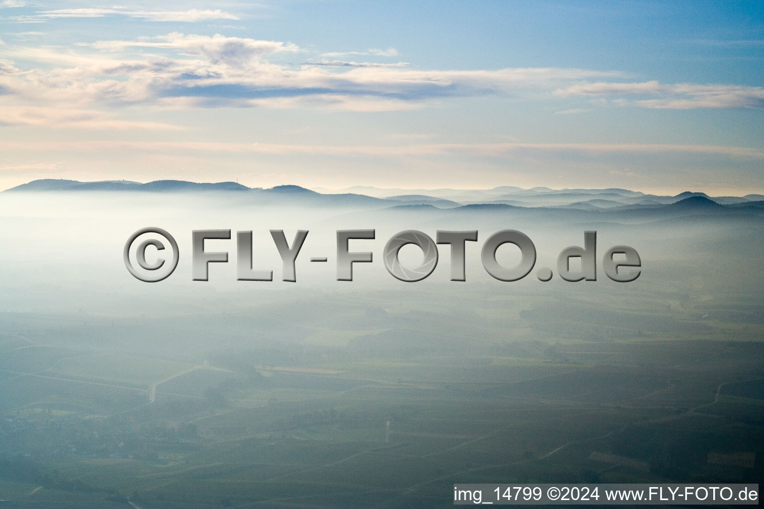 Hardt over Hergersweiler in Hergersweiler in the state Rhineland-Palatinate, Germany