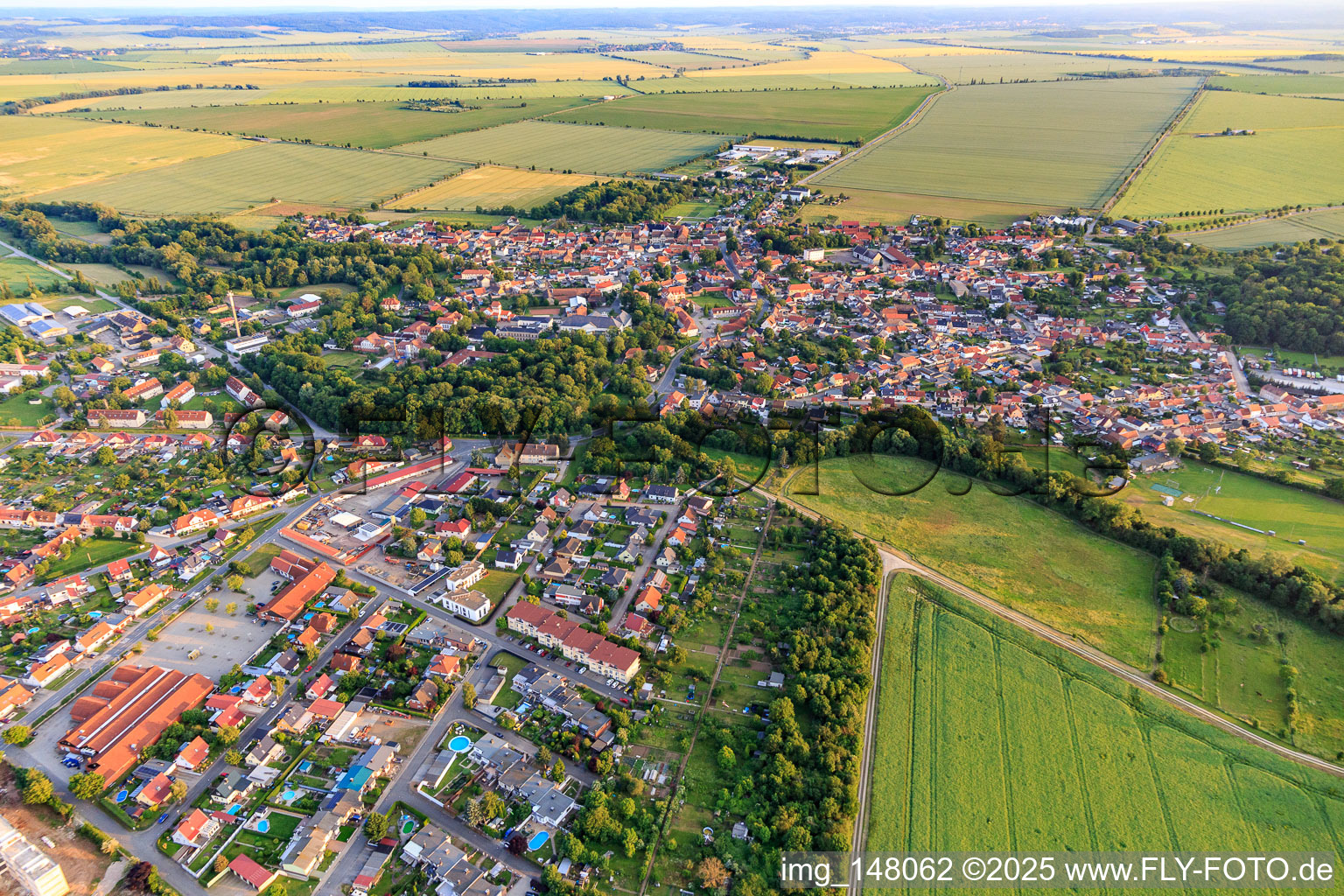 Overview of the town from the northeast in the district Hoym in Seeland in the state Saxony-Anhalt, Germany