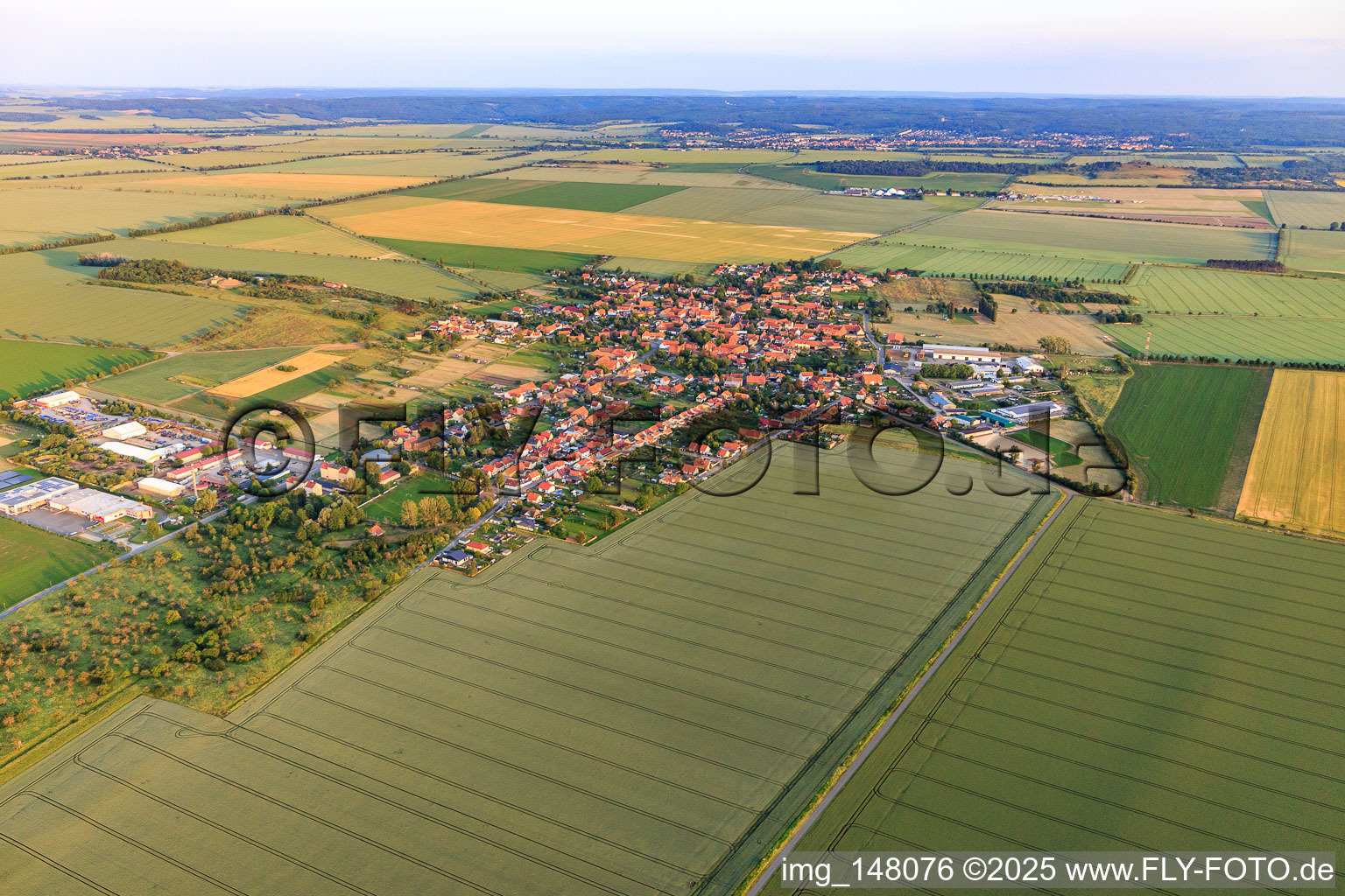 View from the north in the district Badeborn in Ballenstedt in the state Saxony-Anhalt, Germany