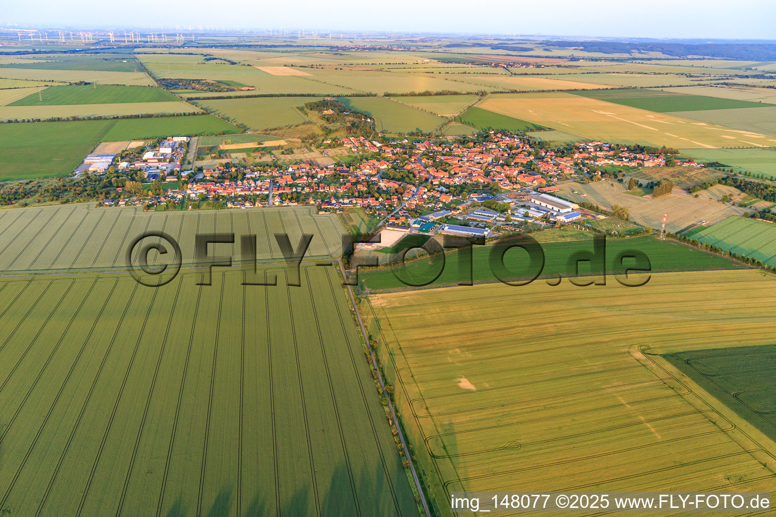 View of the town from the northwest in the district Badeborn in Ballenstedt in the state Saxony-Anhalt, Germany