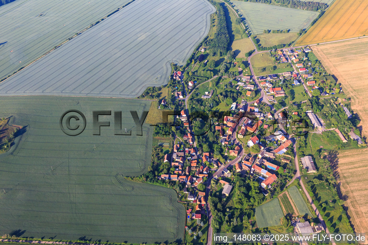 Village view from the northeast in the district Ulzigerode in Arnstein in the state Saxony-Anhalt, Germany