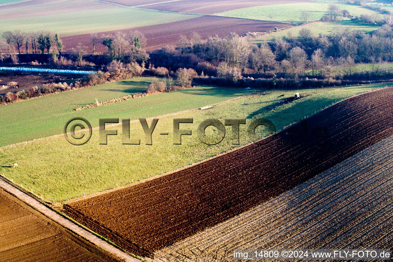 Aerial view of Freckenfeld in the state Rhineland-Palatinate, Germany