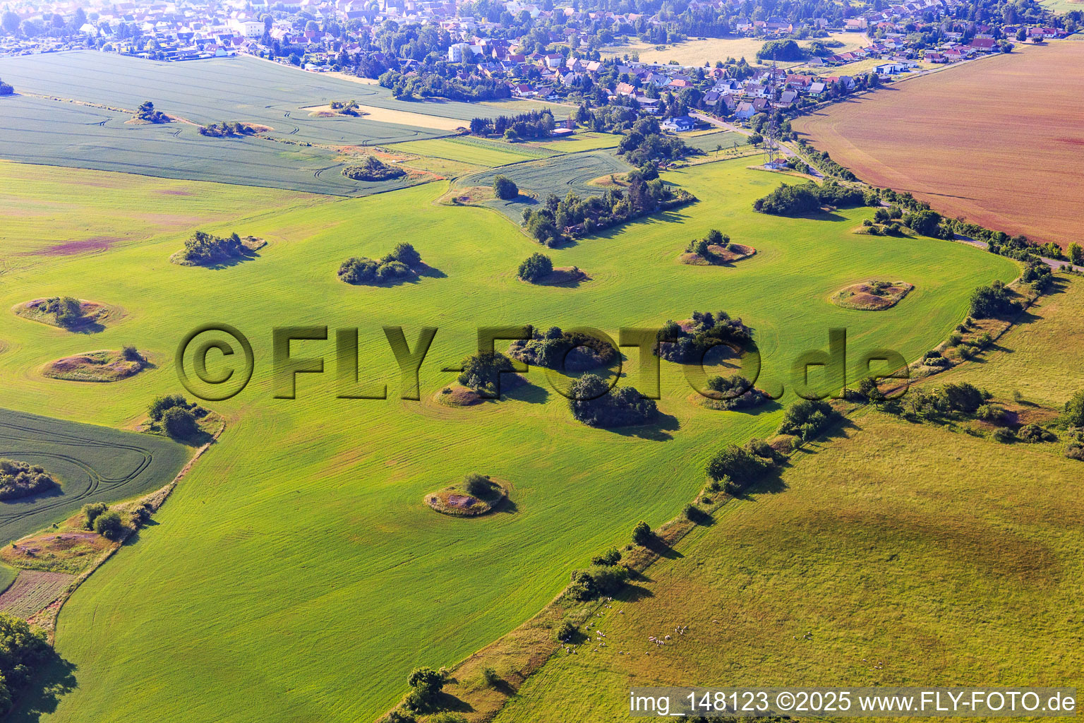 Ice Age kameshügel form uncultivable gaps in the fields in Mansfeld in the state Saxony-Anhalt, Germany