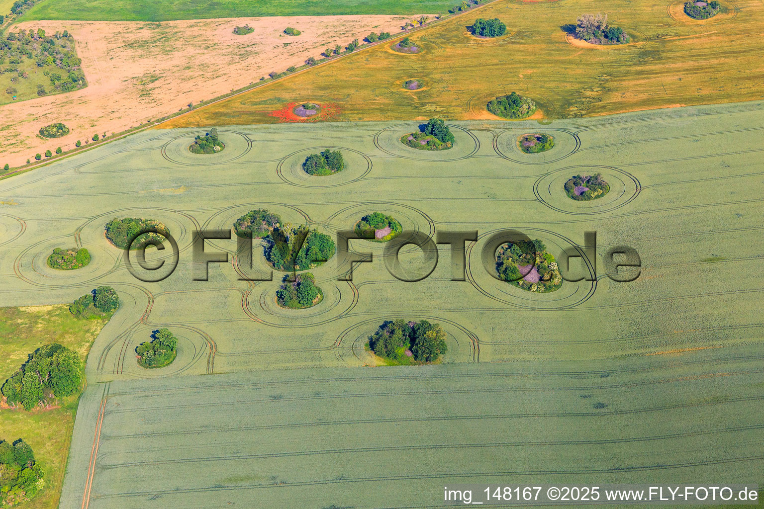 Ice Age kameshügel form uncultivable gaps in the fields in the district Arnstedt in Arnstein in the state Saxony-Anhalt, Germany