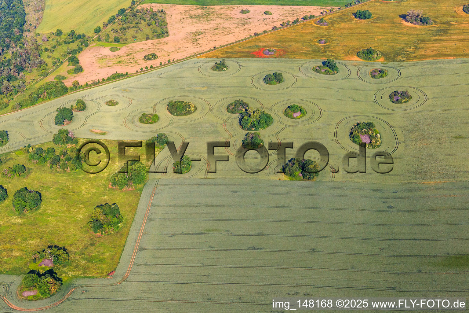 Aerial view of Ice Age kameshügel form uncultivable gaps in the fields in the district Arnstedt in Arnstein in the state Saxony-Anhalt, Germany