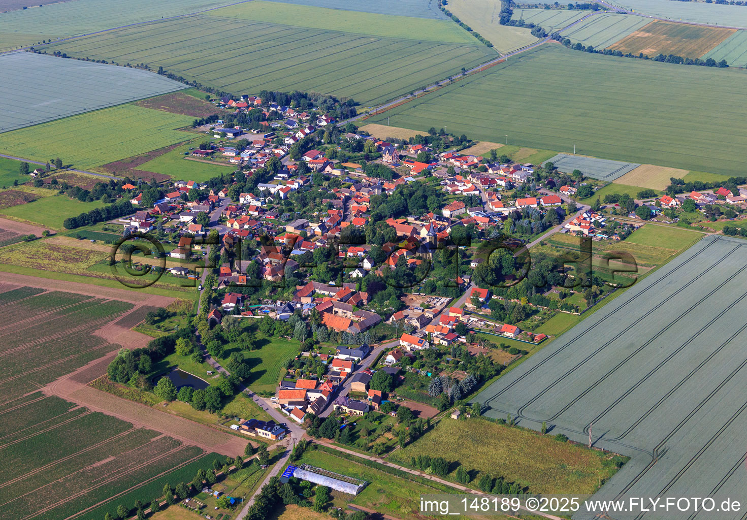 Village view from the northeast in the district Radisleben in Ballenstedt in the state Saxony-Anhalt, Germany