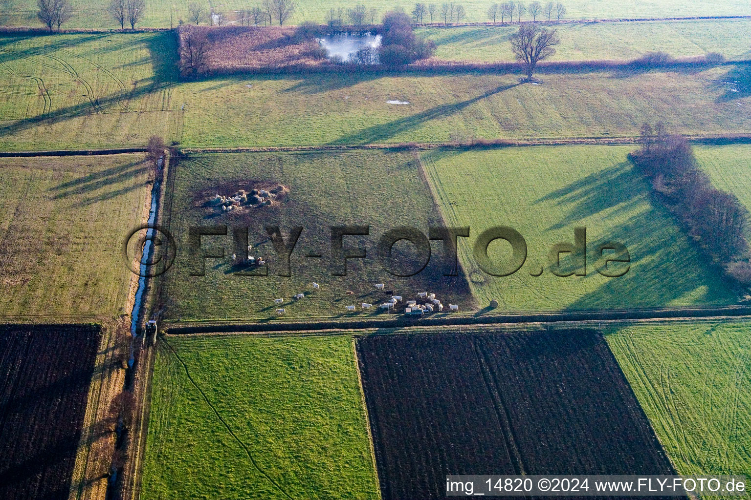 Oblique view of District Schaidt in Wörth am Rhein in the state Rhineland-Palatinate, Germany