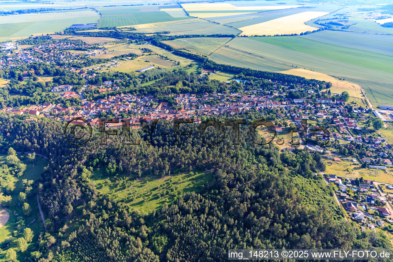View of the town from the south in the district Langenstein in Halberstadt in the state Saxony-Anhalt, Germany