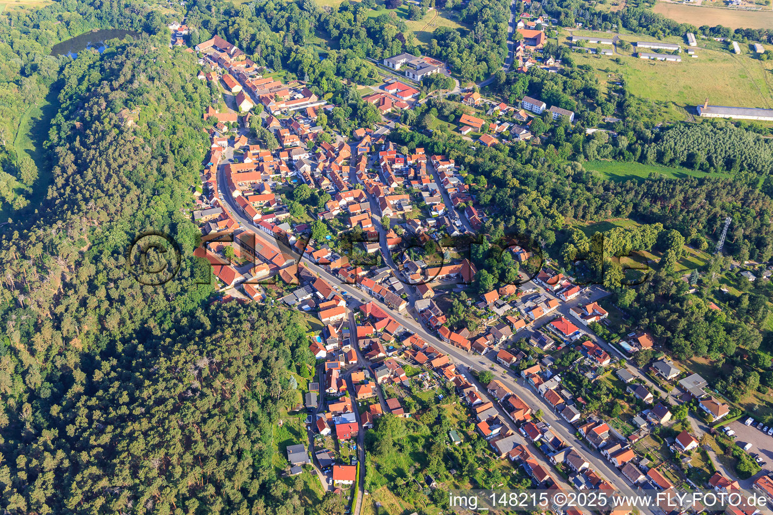 Aerial view of Town center with Quedlinburger Straße in the district Langenstein in Halberstadt in the state Saxony-Anhalt, Germany