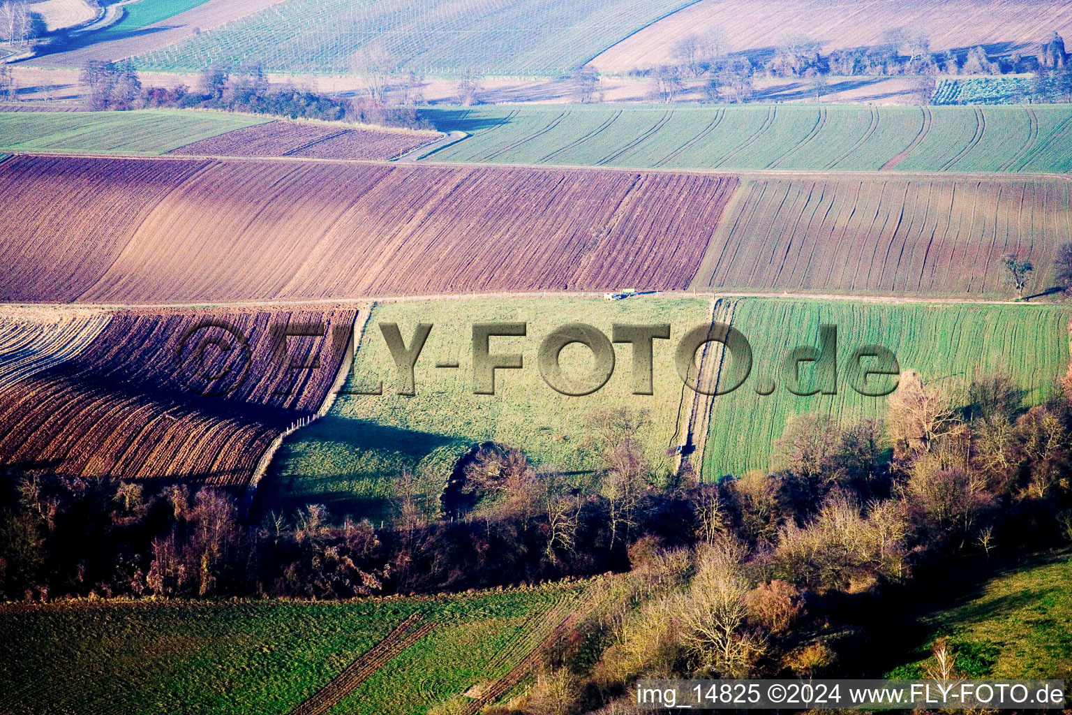 District Schaidt in Wörth am Rhein in the state Rhineland-Palatinate, Germany from above