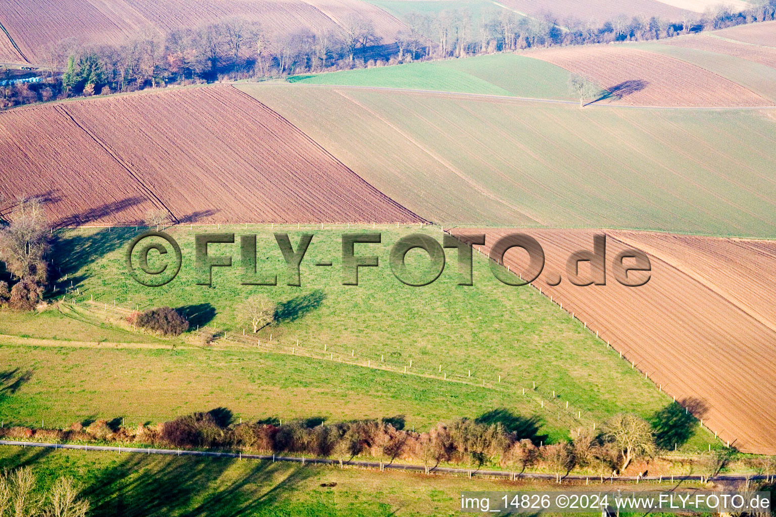 District Schaidt in Wörth am Rhein in the state Rhineland-Palatinate, Germany out of the air