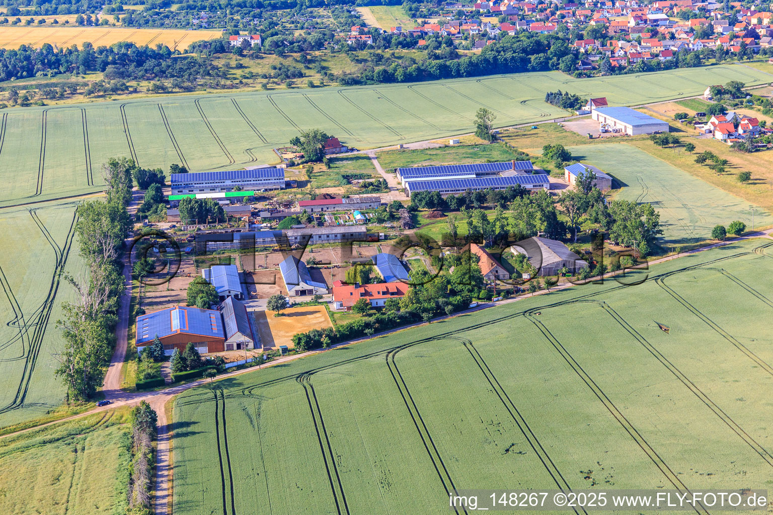 Buchenhof Ballenstedt in the district Rieder in Ballenstedt in the state Saxony-Anhalt, Germany