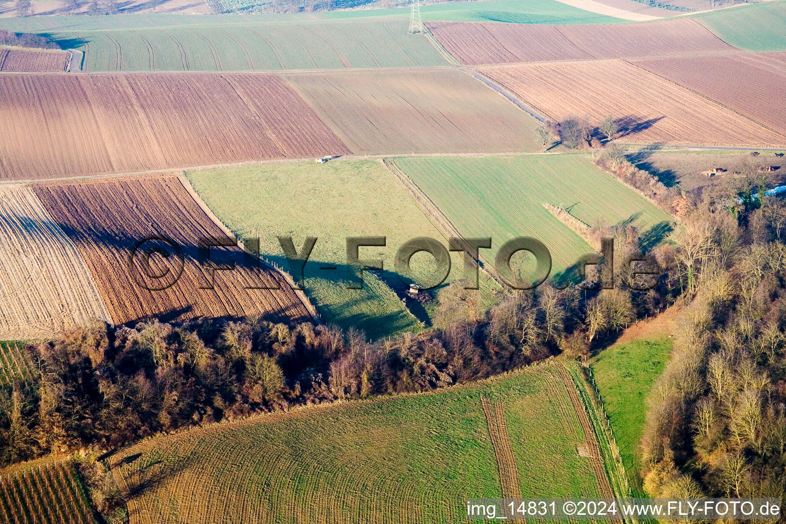 Aerial photograpy of Schaidt Mill in the district Schaidt in Wörth am Rhein in the state Rhineland-Palatinate, Germany