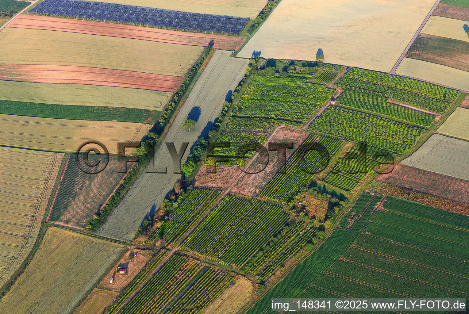 Wingertsheisel in a small vineyard in Ottersheim bei Landau in the state Rhineland-Palatinate, Germany