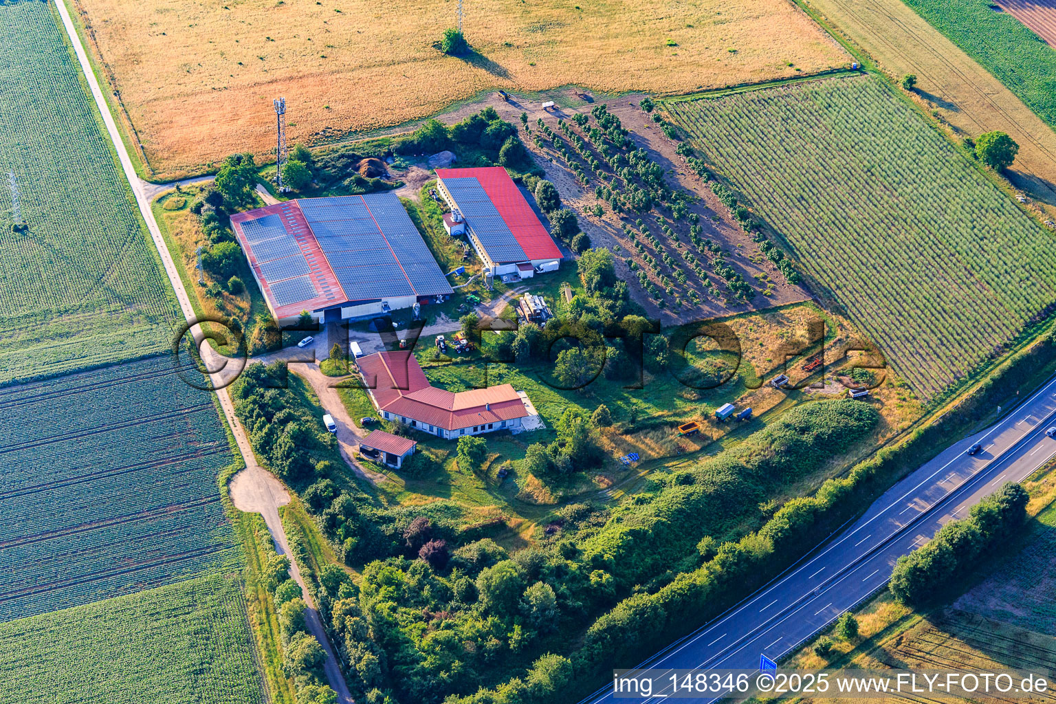 Schönung family poultry farm in Erlenbach bei Kandel in the state Rhineland-Palatinate, Germany