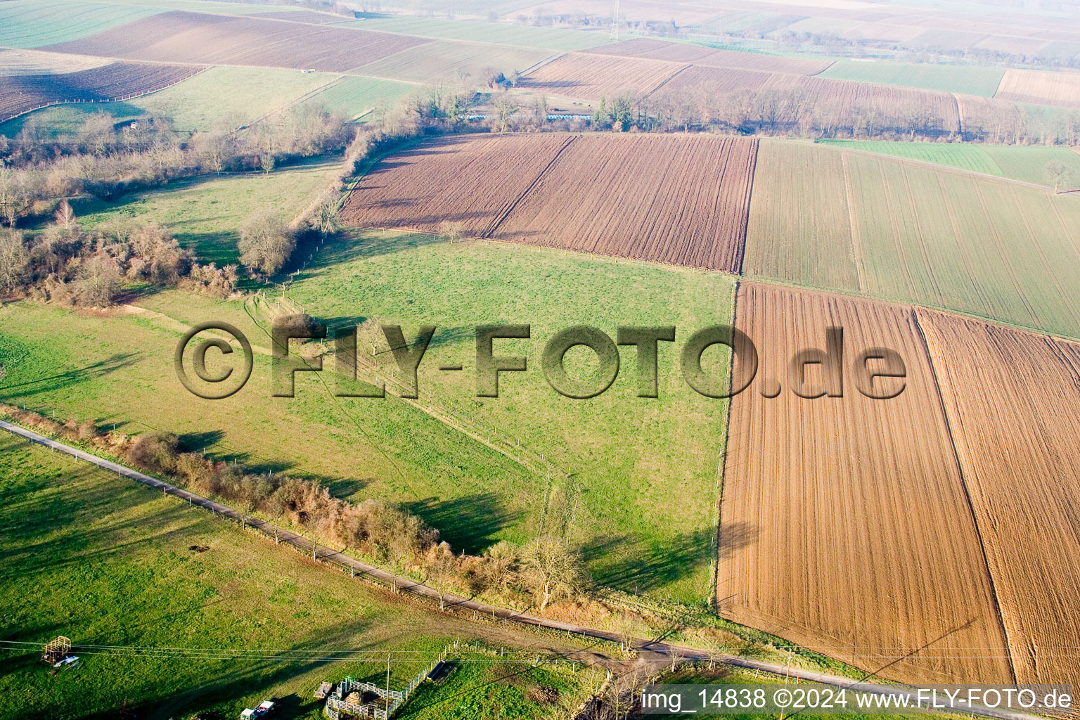 District Schaidt in Wörth am Rhein in the state Rhineland-Palatinate, Germany seen from above