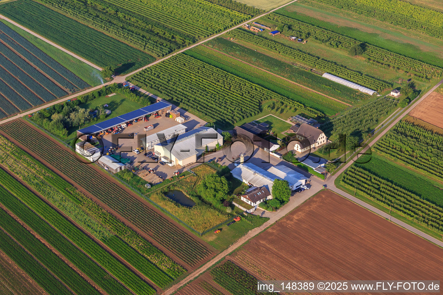 Farmer's Garden in Winden in the state Rhineland-Palatinate, Germany from the drone perspective