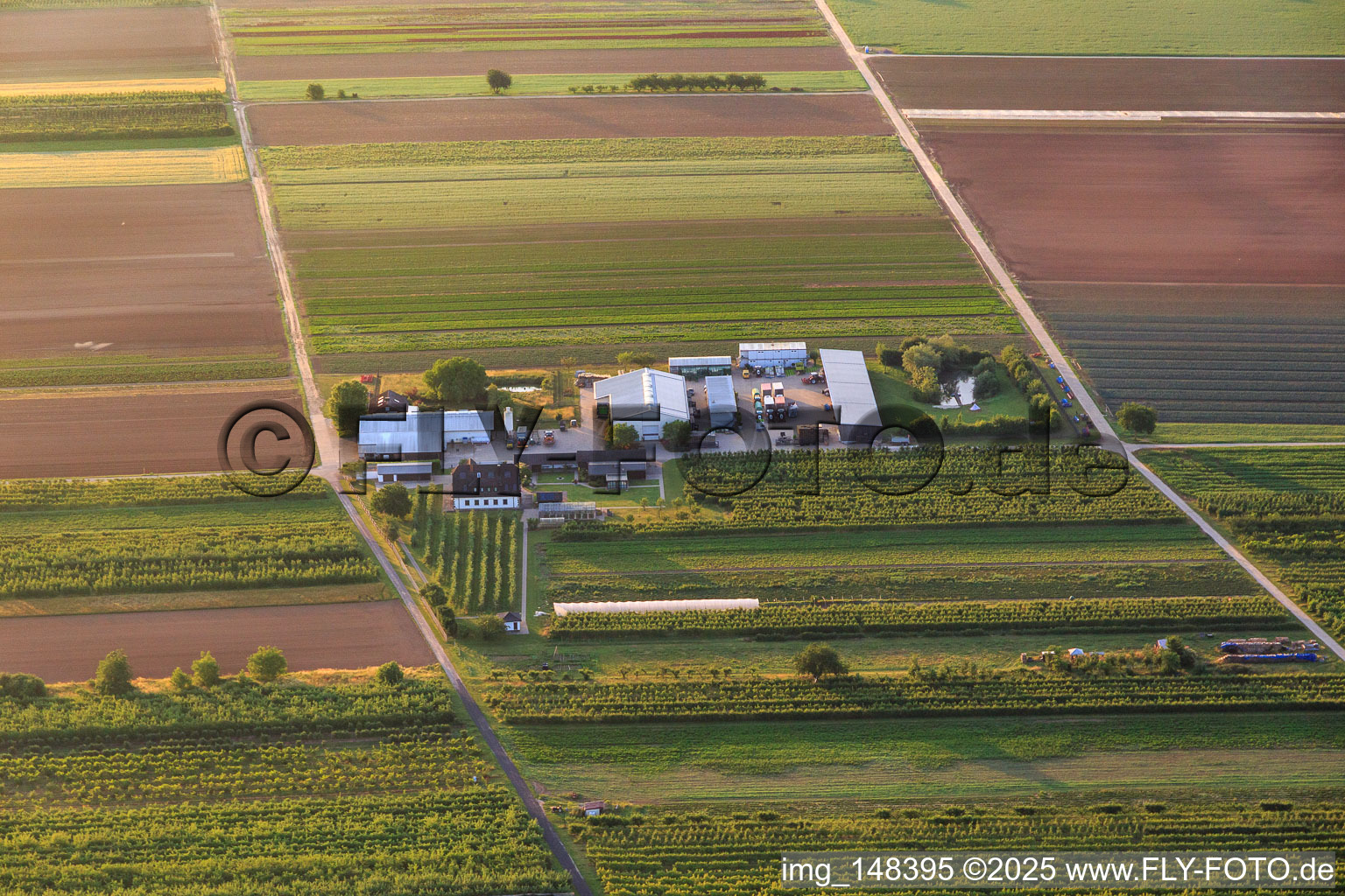 Farmer's Garden in Winden in the state Rhineland-Palatinate, Germany seen from a drone