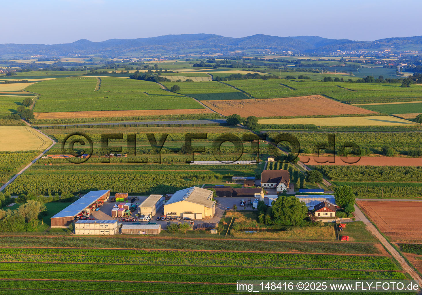 Drone recording of Farmer's Garden in Winden in the state Rhineland-Palatinate, Germany